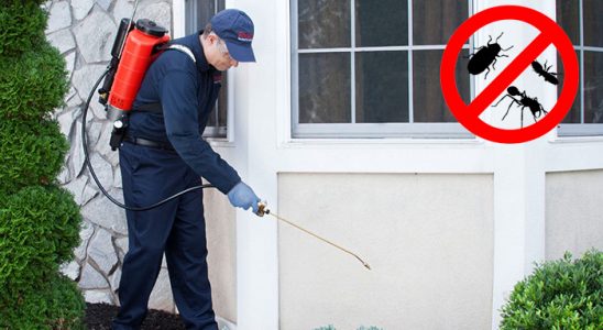 Çamlıhemşin Böcek İlaçlama böcek ilaçlama ve haşere kontrolü — ilaclama-tr.com